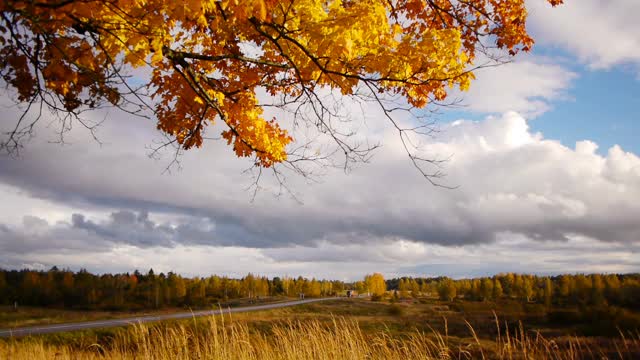 秋天的风景与道路和移动的汽车视频素材