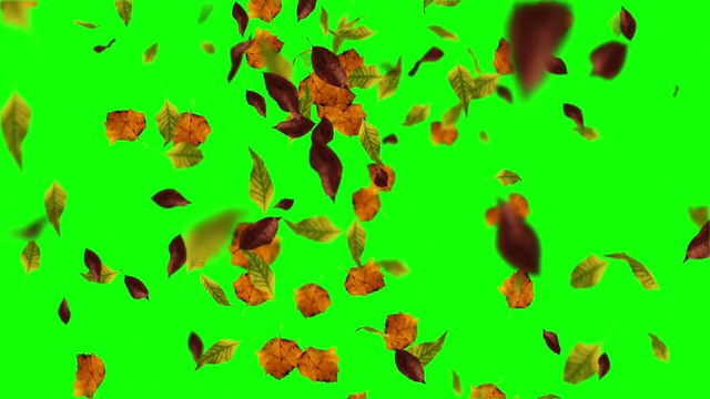 秋叶循环的动画视频素材