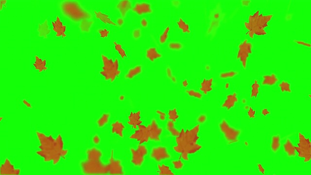 秋叶循环的动画视频素材