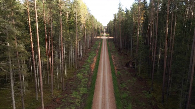 航拍风景:无人机沿着波罗的海森林的小巷直线飞行视频下载