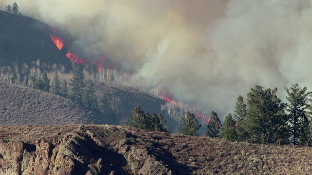 大火吞噬了东部的阿拉帕霍国家森林视频素材