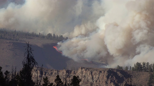 大火吞噬了东部的阿拉帕霍国家森林视频下载
