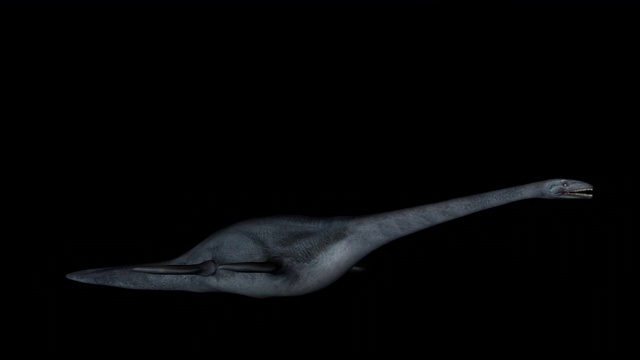 依拉丝莫龙恐龙在黑色背景旋转视频素材