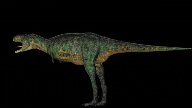 黑色背景上旋转的aucasaur恐龙视频素材