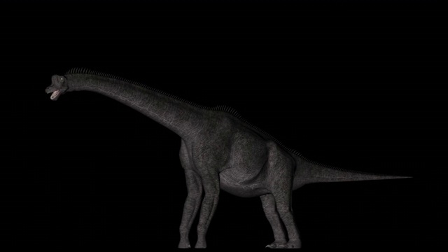 腕龙恐龙在旋转的黑色背景视频素材