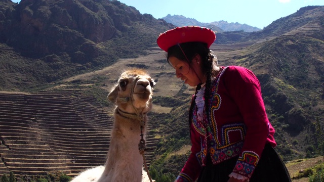 秘鲁库斯科圣谷的秘鲁年轻女子和她的美洲驼视频下载