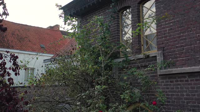 Aerial, pov，一个棕色的砖房子，根特，比利时视频下载