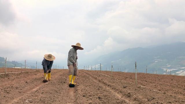 亚洲男性农民在山上用锄头挖土视频下载