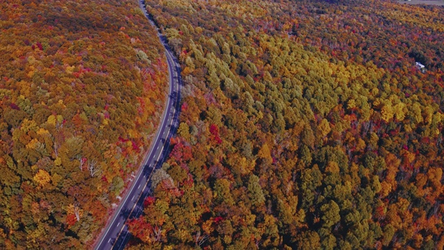 在阿巴拉契亚山脉附近的阿巴拉契亚小道森林公路的鸟瞰图。无人机制作的视频与向后和倾斜的电影摄像机运动。视频素材