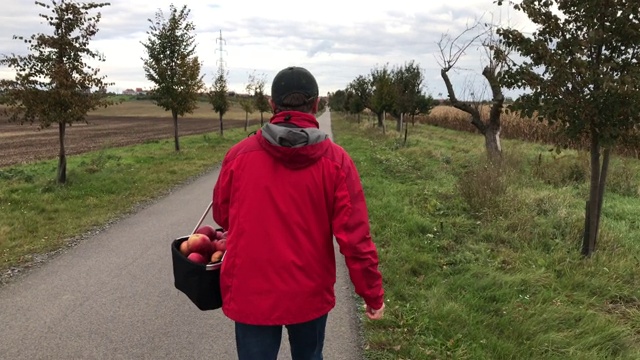 秋日，身着红色外套的男子提着装满苹果的篮子走在路上，宽镜头，手持，跟着镜头的人视频下载