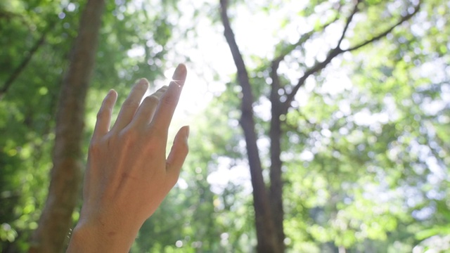 人的手在阳光和绿树的背景下举起。视频素材