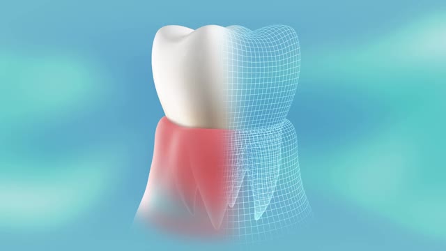 一个健康，治愈的牙齿在牙龈的概念介绍。360度旋转和停止循环。视频下载