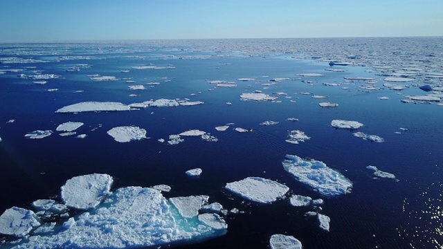 WS空中北极熊游泳在公海之间的浮冰视频素材
