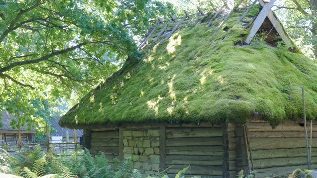 爱沙尼亚的木屋屋顶上长着青苔视频素材