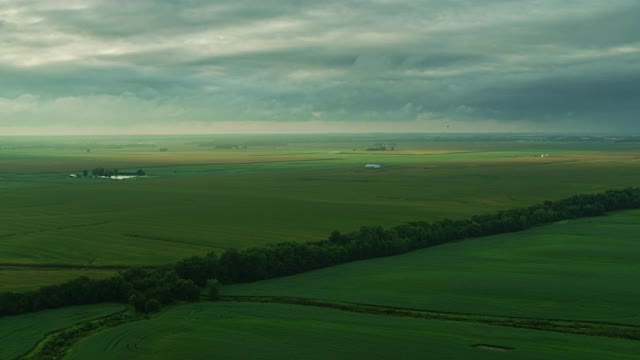 玉米和大豆生长在伊利诺斯州-空中视频下载
