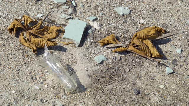 一些垃圾散落在爱沙尼亚的沙滩上视频素材