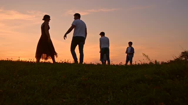 SLO MO Young一家和三个孩子一起在日落时在草地上共度时光视频素材