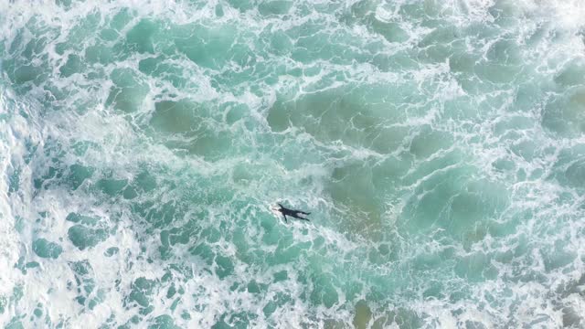 鸟瞰图的冲浪者划桨在狂野的波浪和蓝绿色的海洋。视频下载