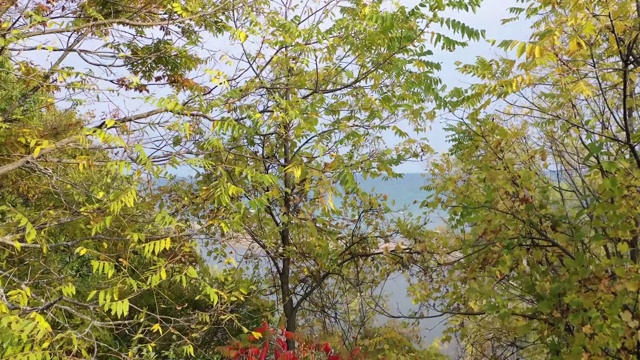 鸟瞰图胭脂国家城市公园和胭脂河在秋天的黄昏，多伦多，加拿大视频下载