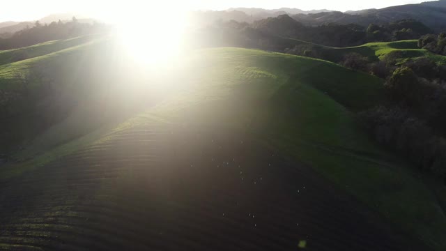 葡萄酒乡村加利福尼亚无人机视频视频下载