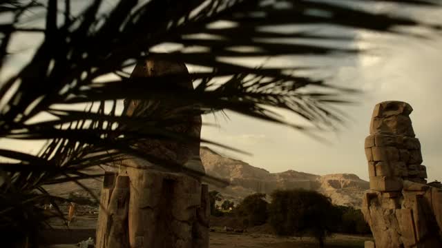 在门农巨像穿越棕榈树视频下载