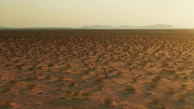 无人机飞越沙漠，飞向内华达州梅斯奎特附近的遥远山脉视频素材