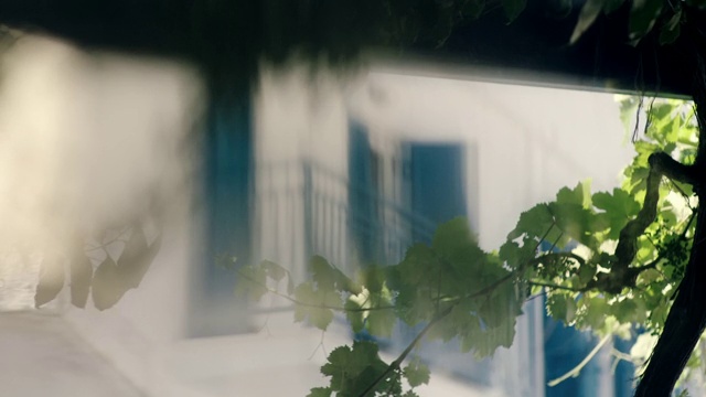 希腊，阳台上的藤蔓叶子视频下载