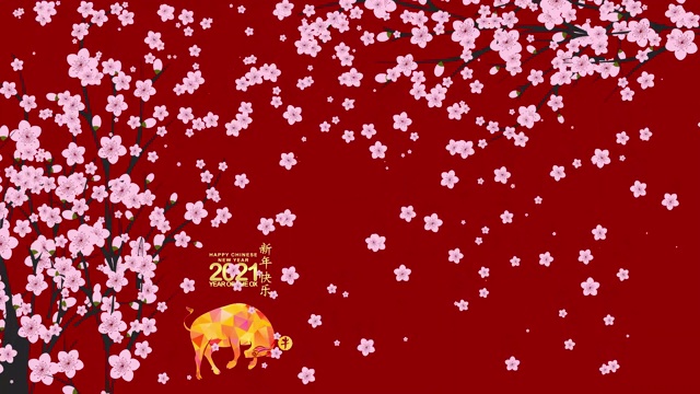 传统的2021年中国新年。花的背景。牛年(Chinese Year of Ox, Chinese New Year, Year of Ox)视频素材
