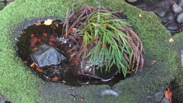 日本。十月。一股细细的水流进装饰性的小盆里。视频下载