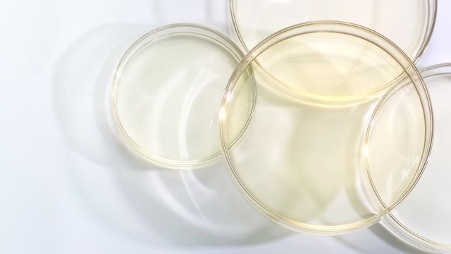 近距离和超级慢动作的金色水波纹在4个培养皿在一层与水在白色表面的反射视频下载