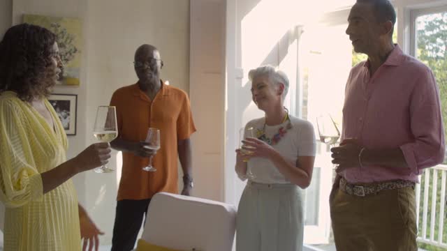 一群朋友分享一个庆祝的祝酒词-慢镜头视频素材