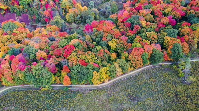空中勃朗特溪秋季省级公园，奥克维尔，加拿大视频下载