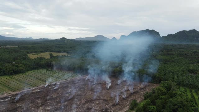 4k高空顶视图圆形潘的清除砍伐和火灾森林和农业领域的烟视频下载