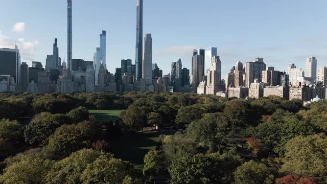 鸟瞰图的纽约市中央公园在一个秋天的早晨视频下载