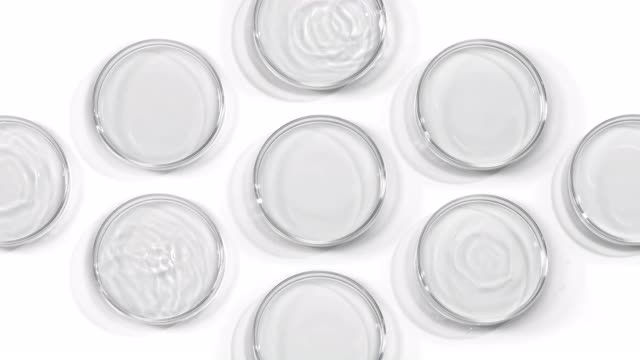 近距离和超慢的水滴运动，使9排列在皮氏培养皿内的白色背景晶莹涟漪视频下载