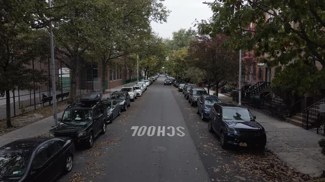 摄影娃娃拍摄的是纽约市布鲁克林的一个林荫街区视频下载