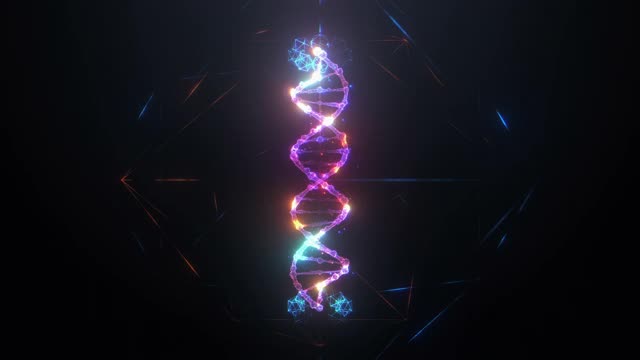 详细的DNA链视频下载