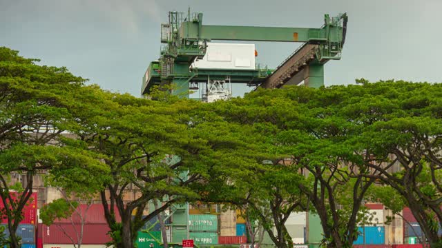 新加坡城市集装箱港口工作起重机延时4k全景图视频素材