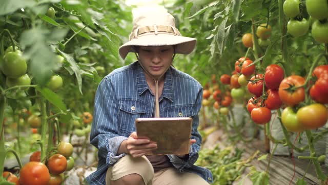 年轻的亚洲女农民站在温室里自信地看着镜头视频素材