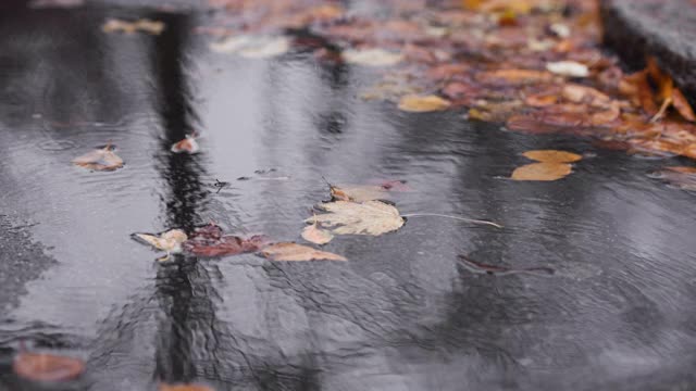 在暴风雨的秋日，雨水汇成水坑视频素材