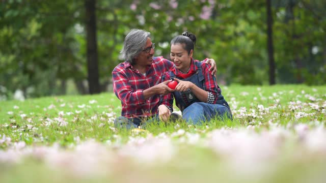亚洲资深夫妇在花园一起放松，心形手势视频素材