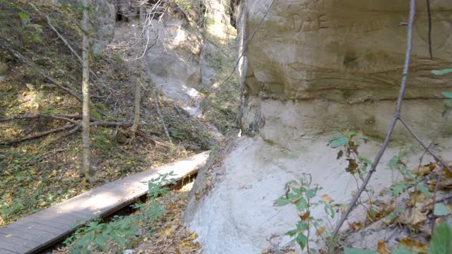 森林一侧的岩石景观视频素材