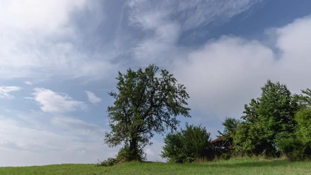 树和云。树和云在延时4k视频云漂浮在天空在日落。塞尔维亚米洛克山山坡上的一棵孤零零的树。滑块运动。视频素材