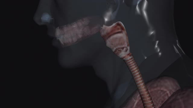 喉咙感染视频下载
