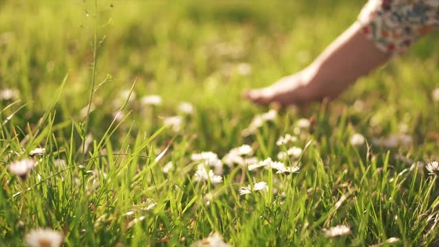 女性的手在绿色茂盛的草地上。视频素材