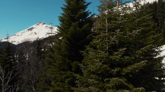 飞过白雪覆盖的森林和山脉视频下载