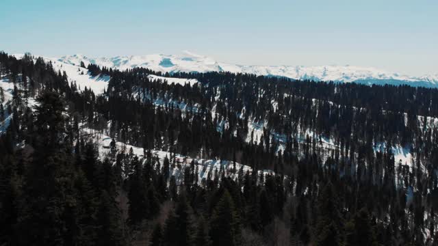 一架无人机飞过一片积雪的森林视频下载
