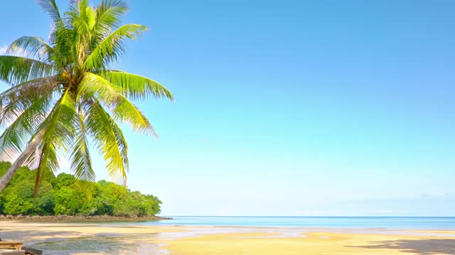 棕榈树。热带海滩。湛蓝的天空。视频素材