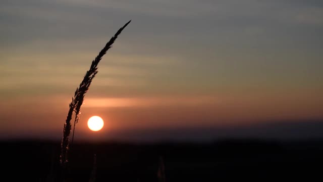 喀尔巴阡秋天田野里的日落视频素材