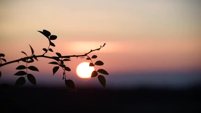 喀尔巴阡秋天田野里的日落视频素材